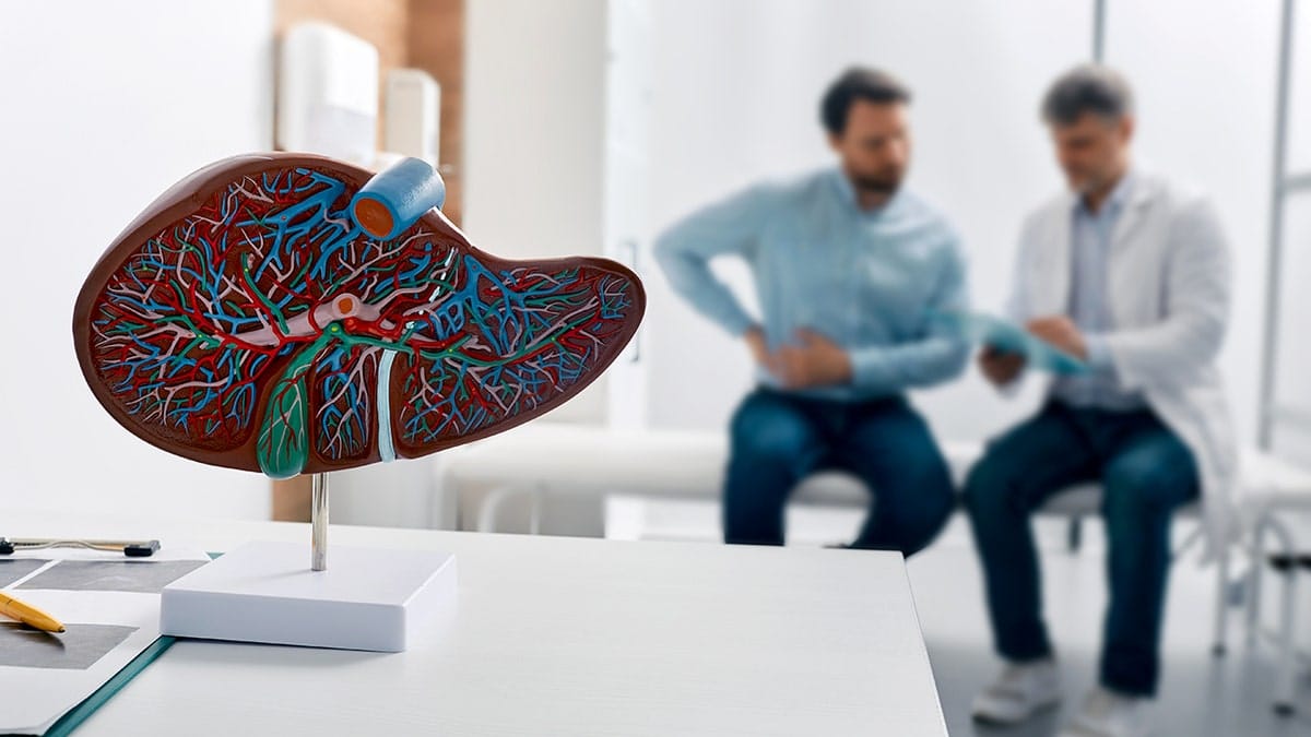 แผนภาพตับกับแพทย์และผู้ป่วย