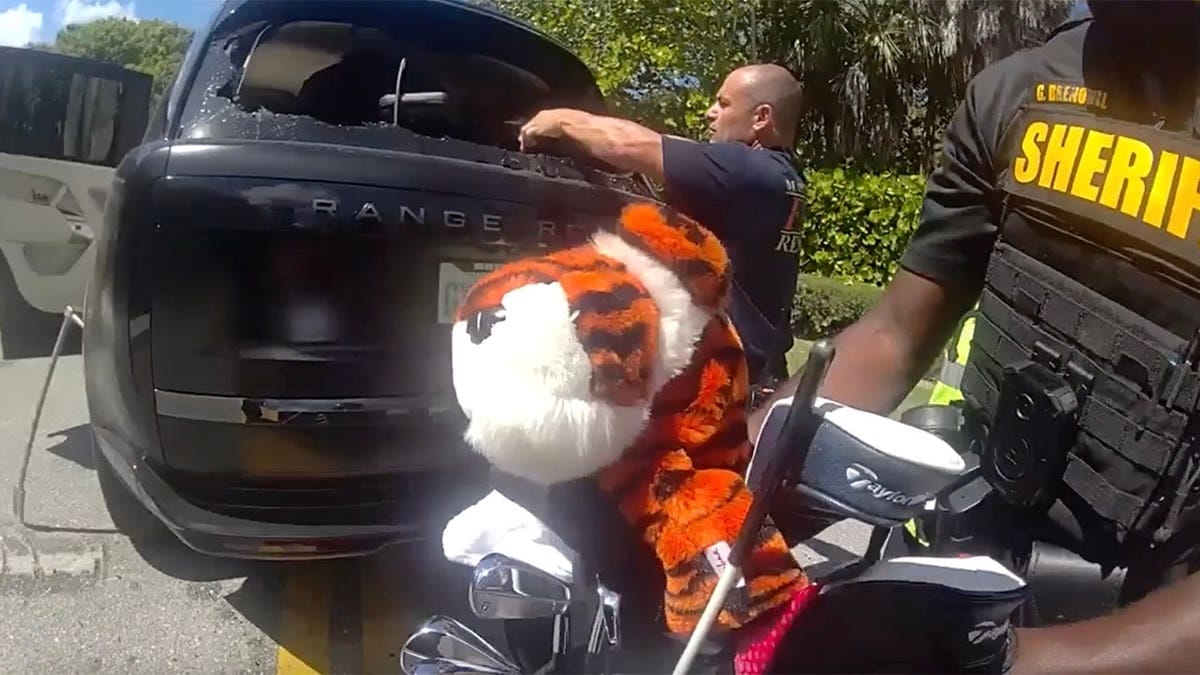 ไม้กอล์ฟของ ไทเกอร์ วูดส์