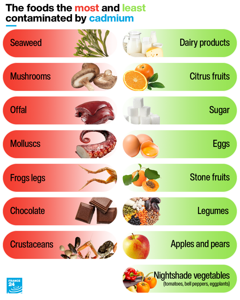 The foods the most and least contaminated by cadmium