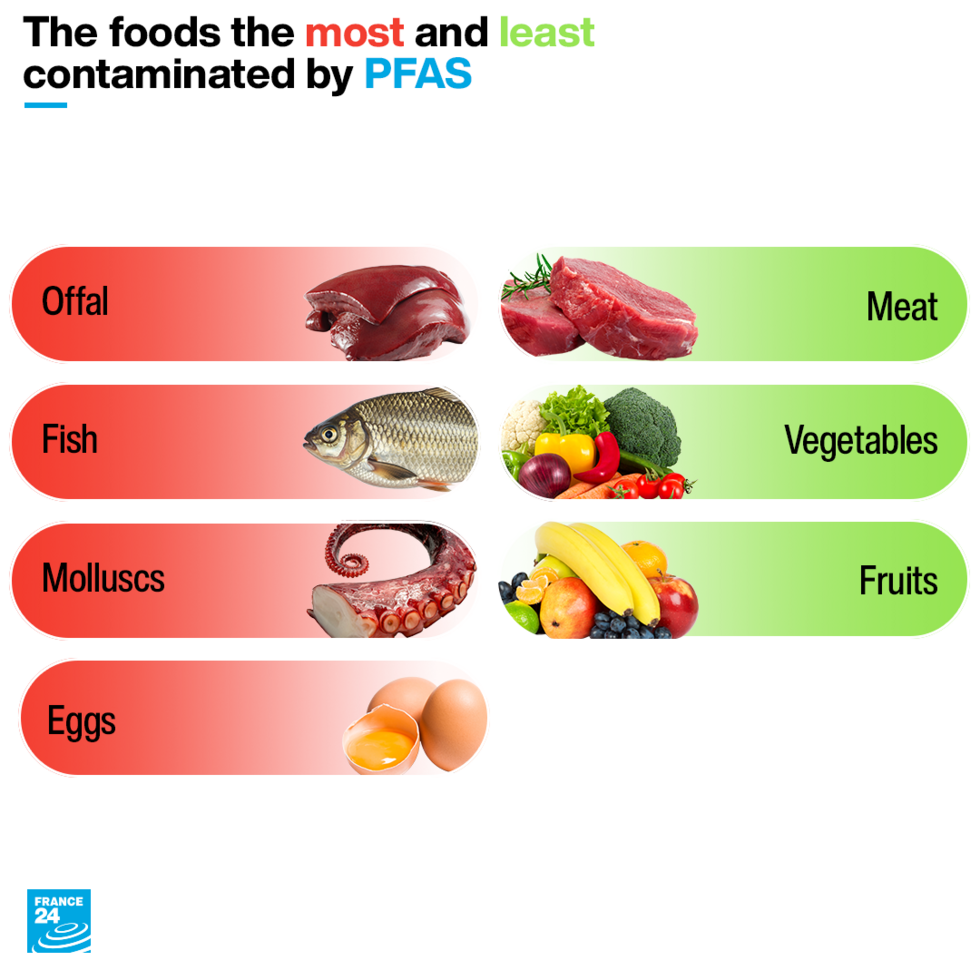 The foods the most and least contaminated by PFAS