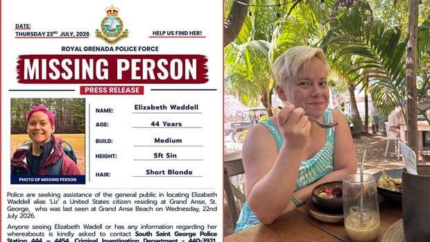missingpersonlizwaddell.jpg