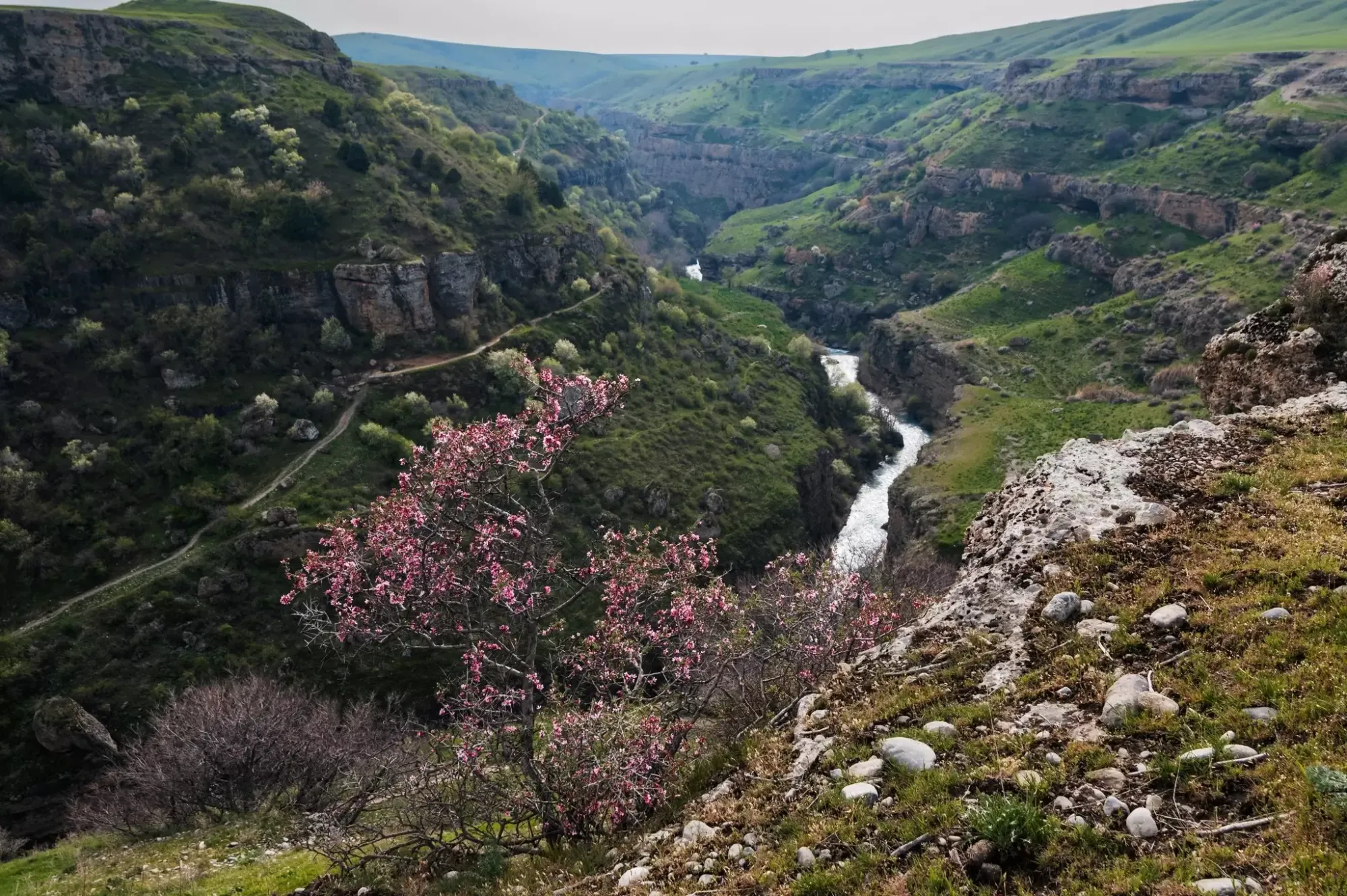 The Aksu Canyon, Aksu-Zhabagly Nature Reserve, Kazakhstan