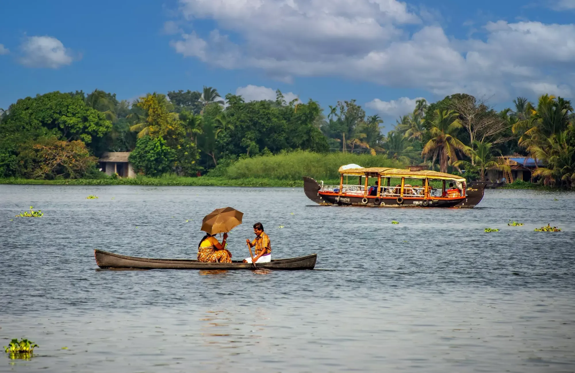 Backwaters around Alappuzha (Alleppey)