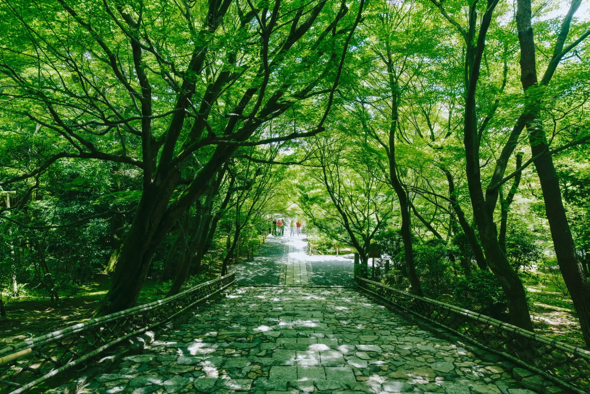 Ryōan-ji in Kyoto