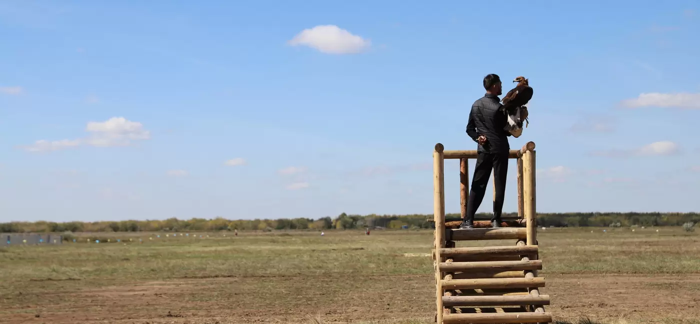 A man stands on a platform holding an eagle