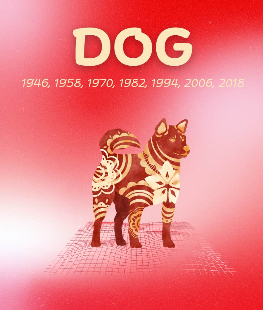 dog chinese zodiac signs hard times end september 13, 2026