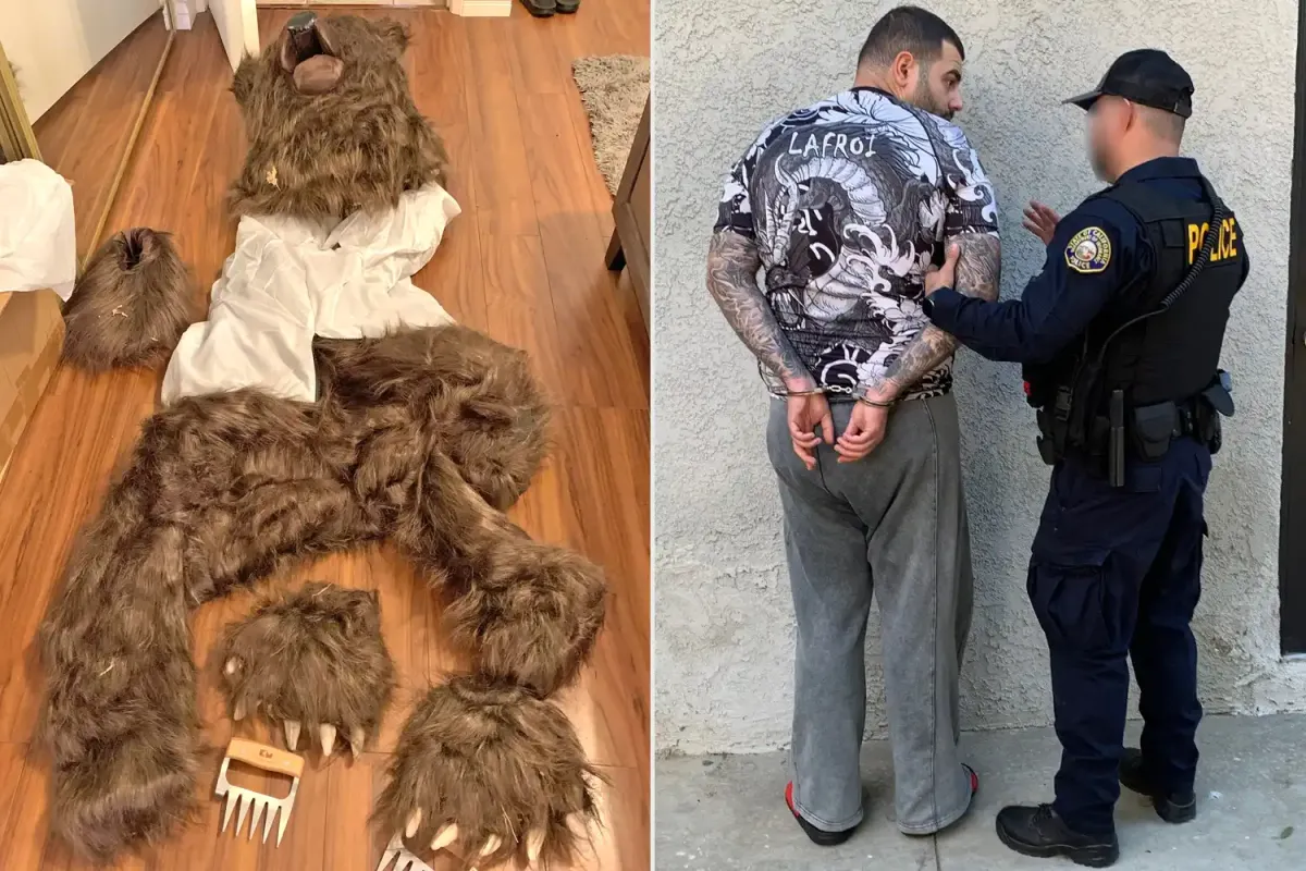 3 คน ถูกตัดสินคดีฉ้อโกงประกันภัย แต่งตัวเป็นหมีจัดฉากทำร้ายรถหรูของตัวเอง