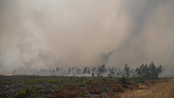 ปรากฏการณ์ 'เมฆไฟ' หรือ Pyrocumulonimbus เกิดขึ้นในฝรั่งเศสเป็นครั้งแรก